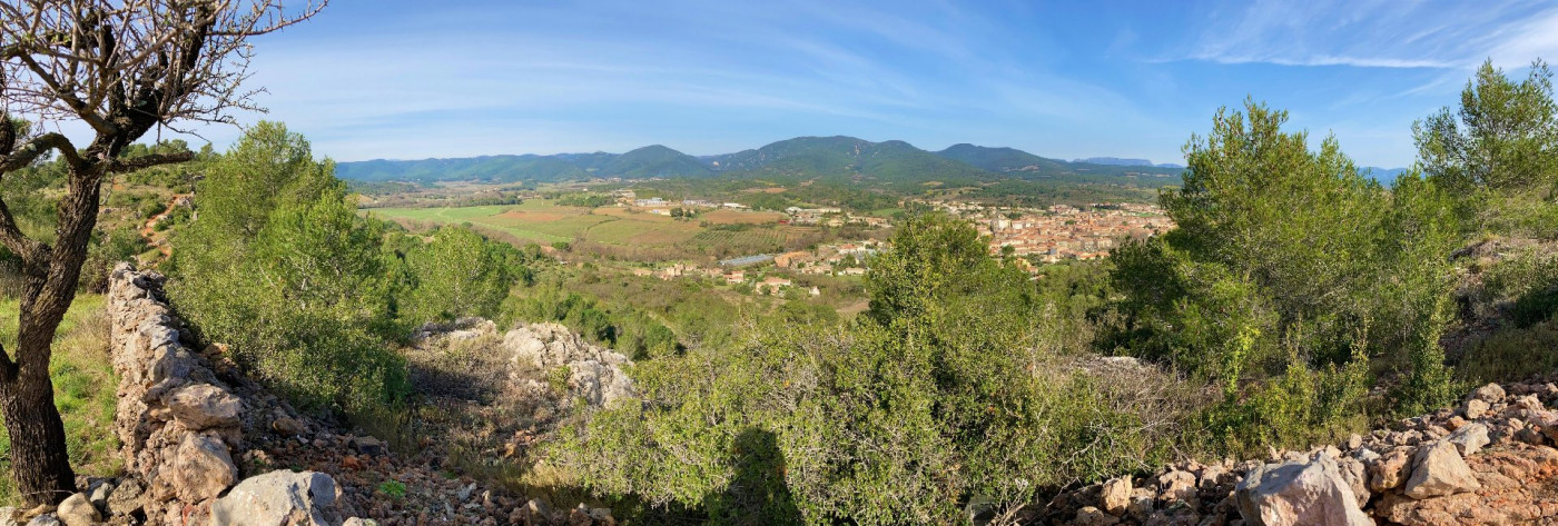 vente Maison de campagne Saint Chinian - Photo 3