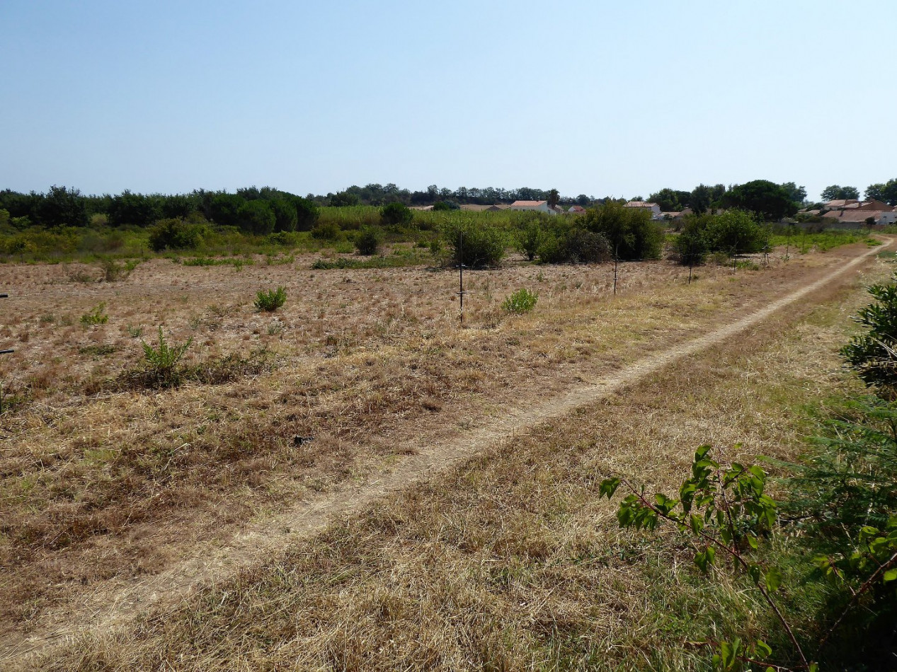 vente Maison individuelle Bages - Photo 10