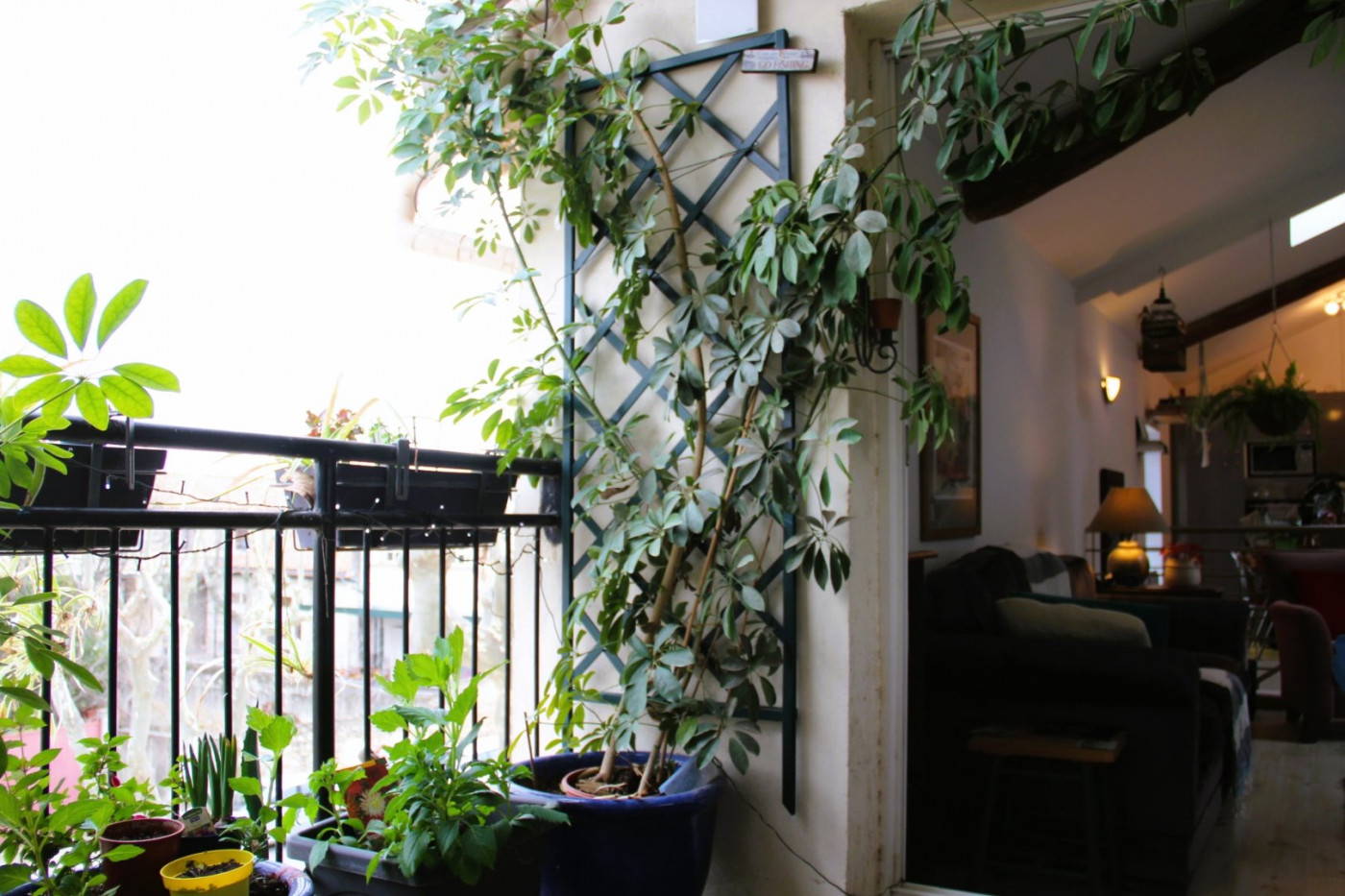 vente Maison de village Puissalicon - Photo 9