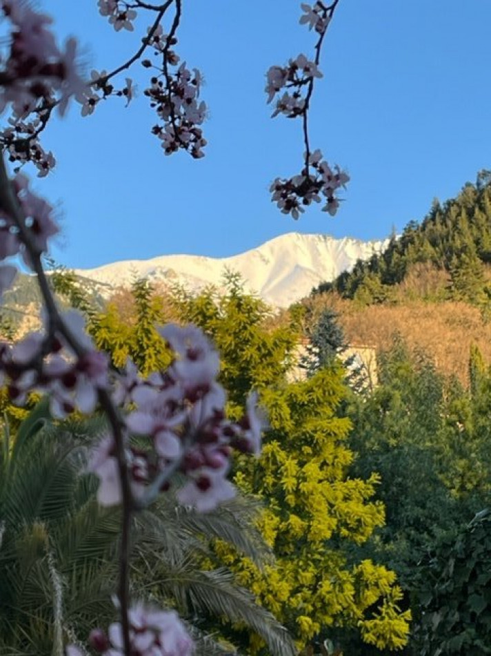 vente Maison Vernet Les Bains - Photo 8
