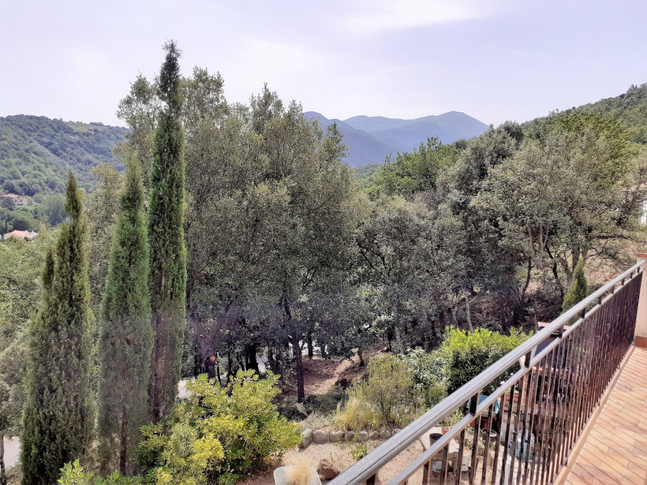 vente Maison individuelle Reynes - Photo 2