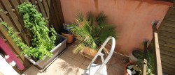 vente Maison de ville Narbonne