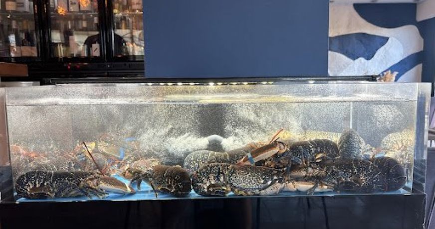 vente Restaurant Valras Plage