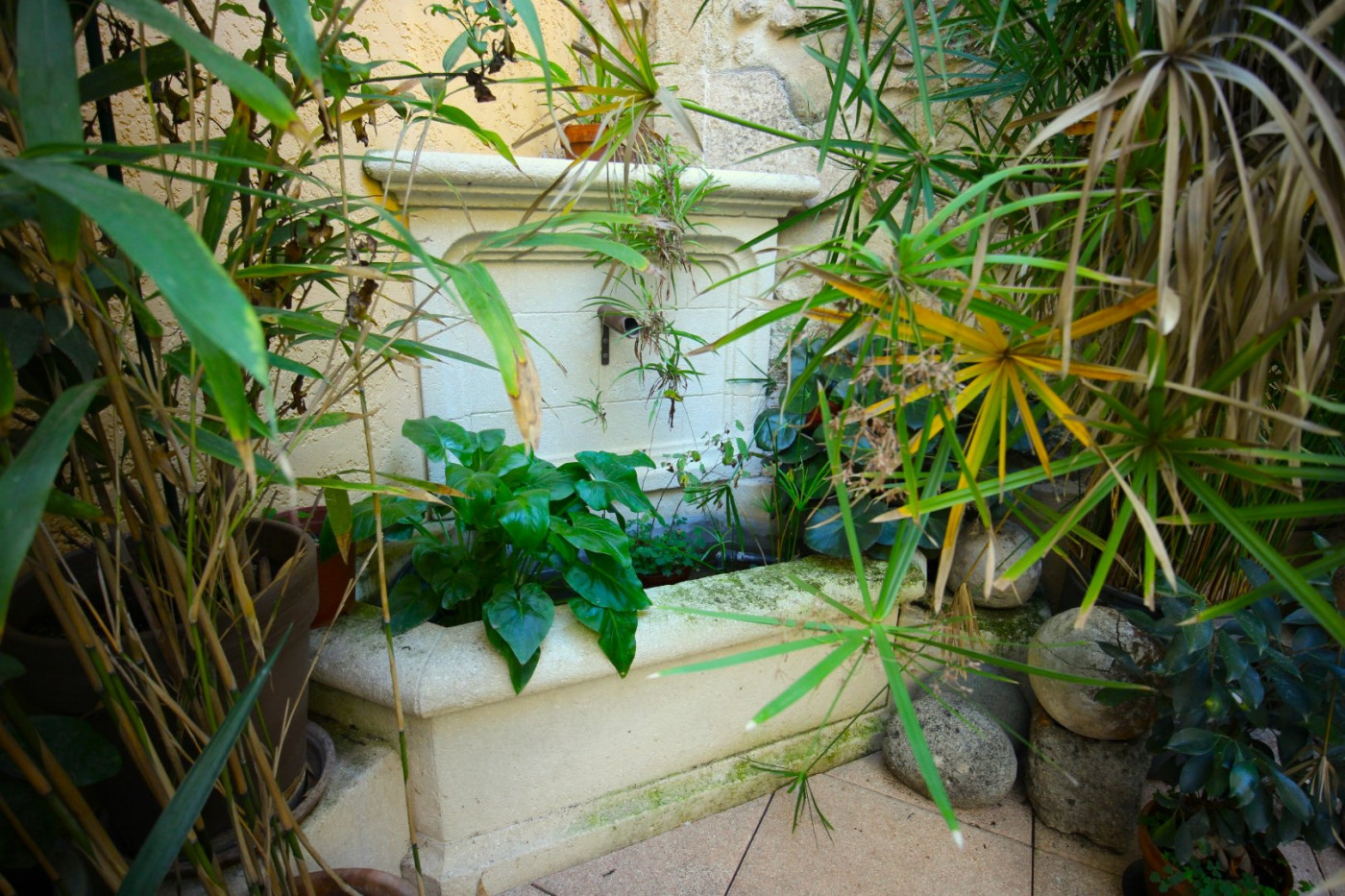 sale Maison de caractère Beziers - Photo 2