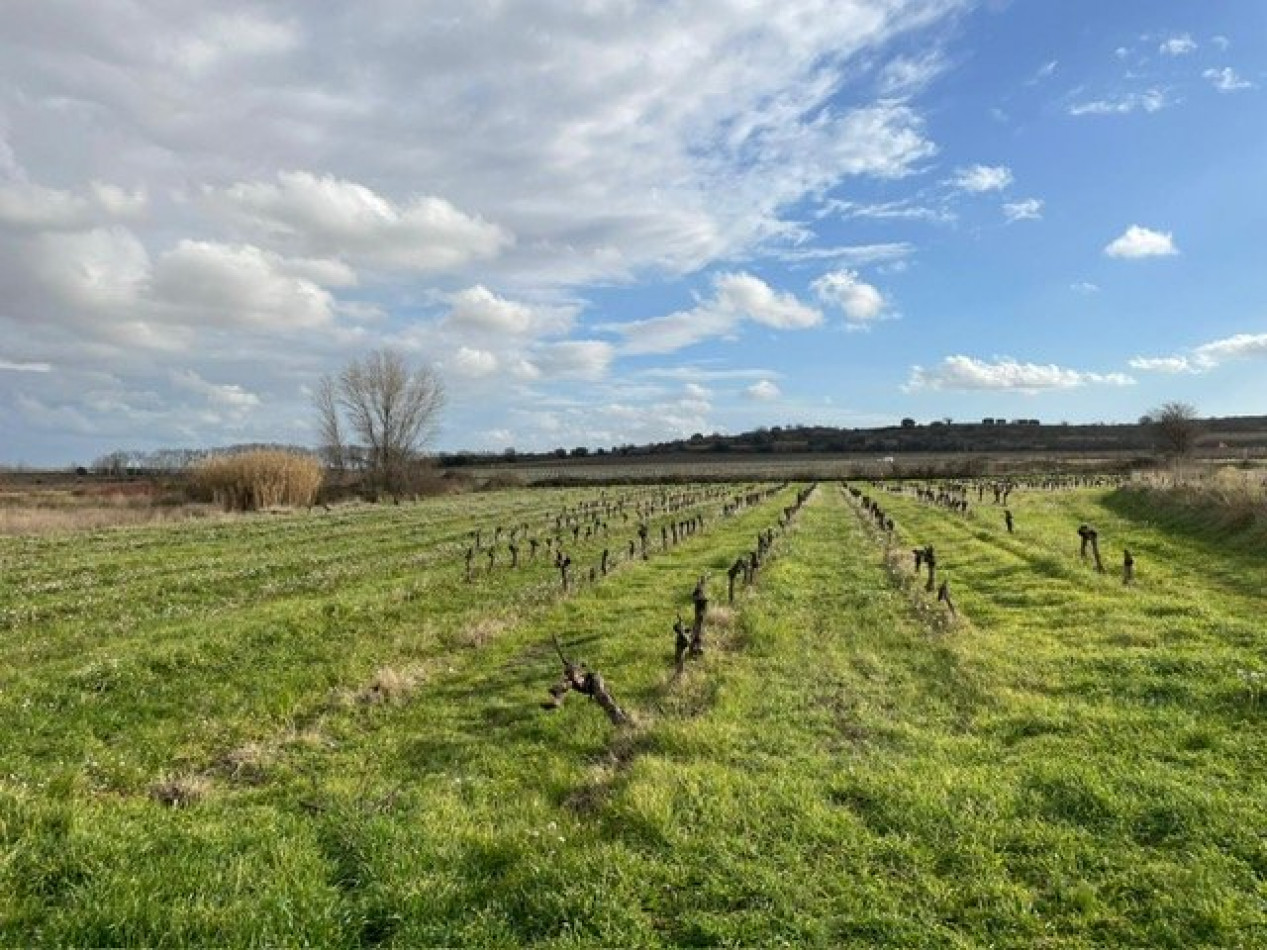 sale Terrain constructible Pouzolles - Photo 5