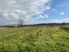 sale Terrain constructible Pouzolles