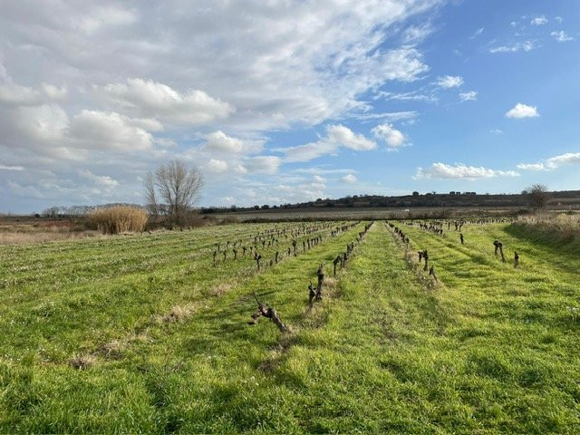 à vendre Terrain constructible Pouzolles - Photo 5