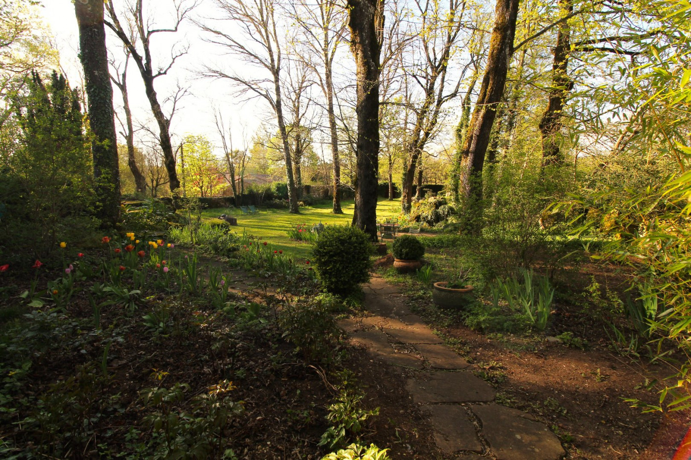 vente Château Le Cros - Photo 4