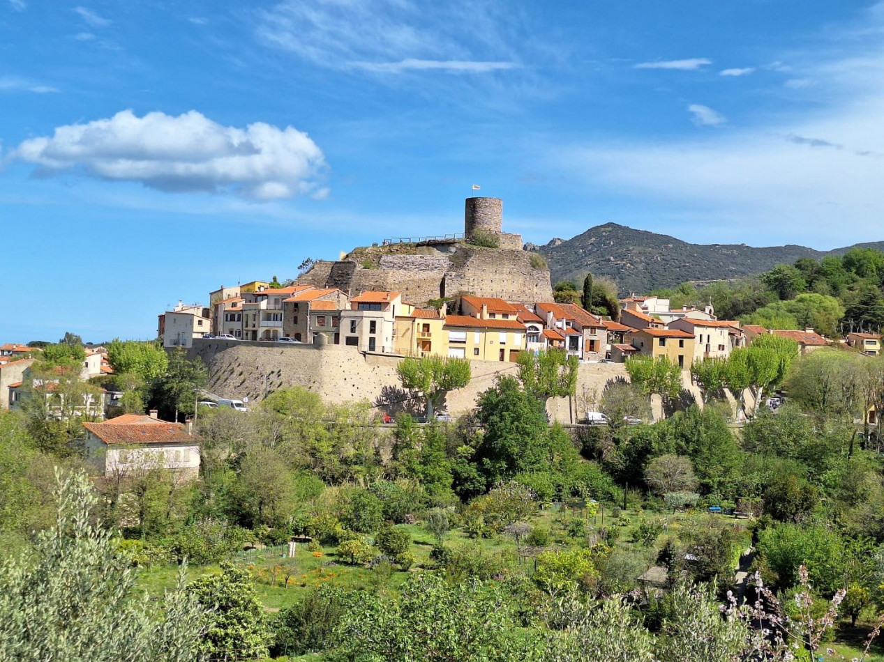 sale Maison et dépendances Laroque Des Alberes - Photo 4