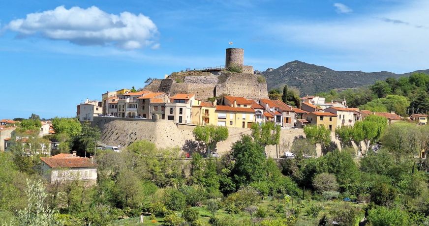 vente Maison et dépendances Laroque Des Alberes