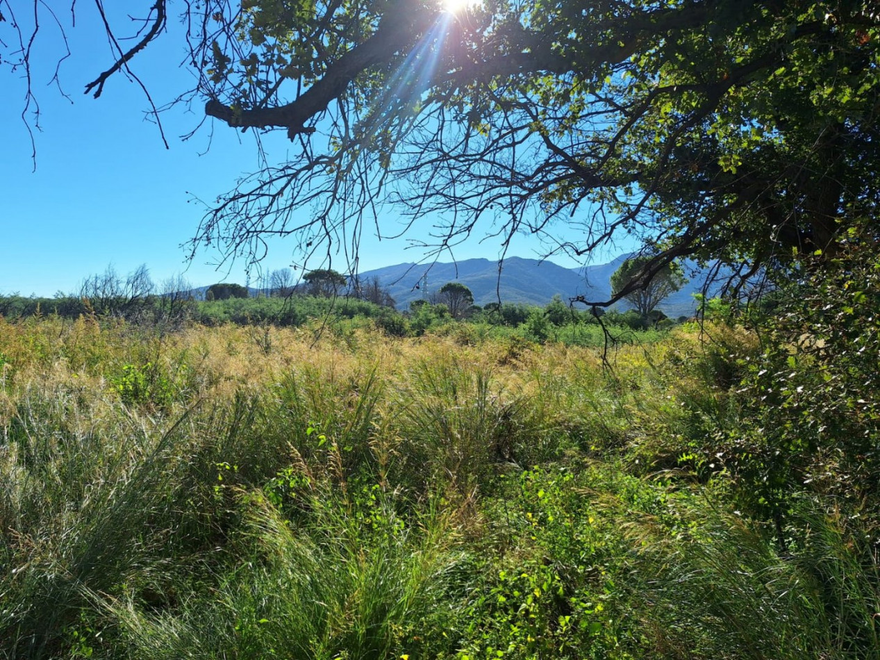 vente Villa Saint Andre - Photo 3