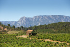 vente Maison Saint Chinian