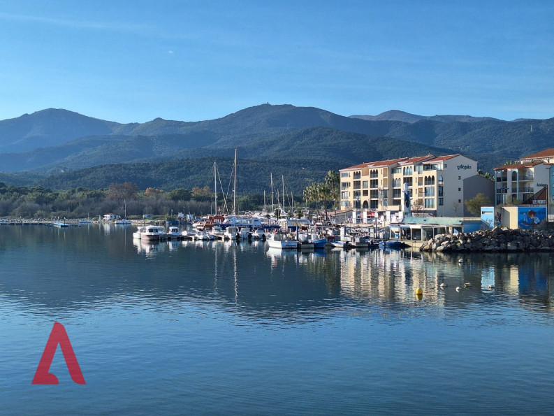 vente Studio Argeles Sur Mer - Photo 3