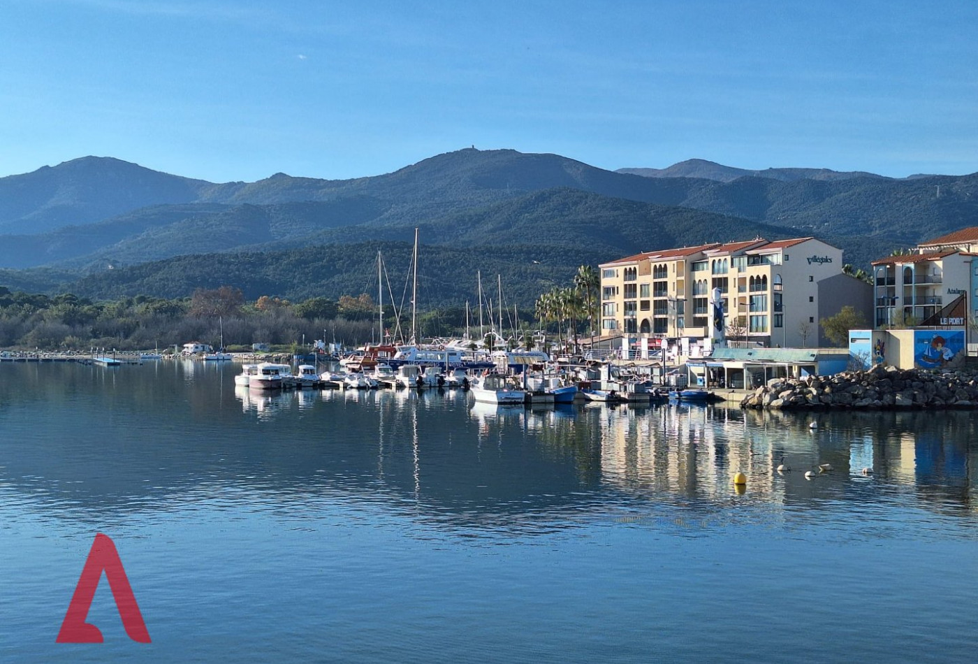 vente Studio Argeles Sur Mer - Photo 3