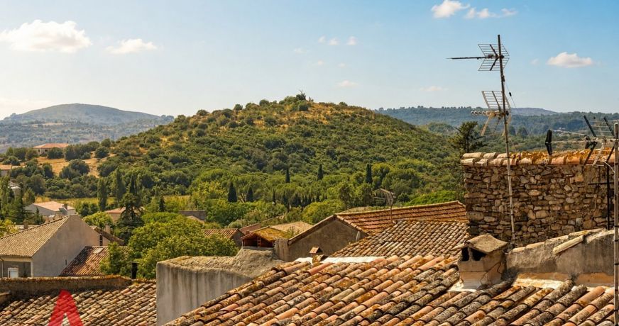 vente Maison de village Neffies