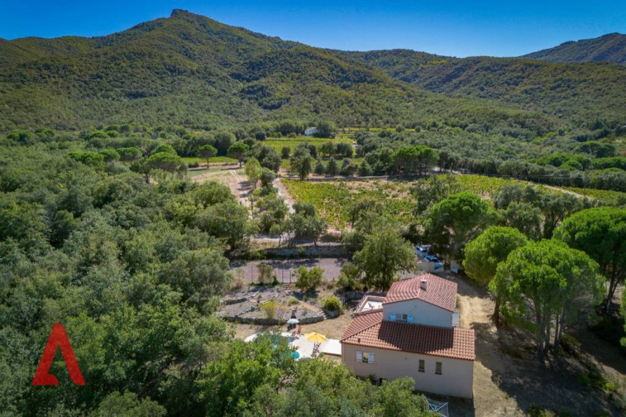 vente Villa Laroque Des Alberes - Photo 2