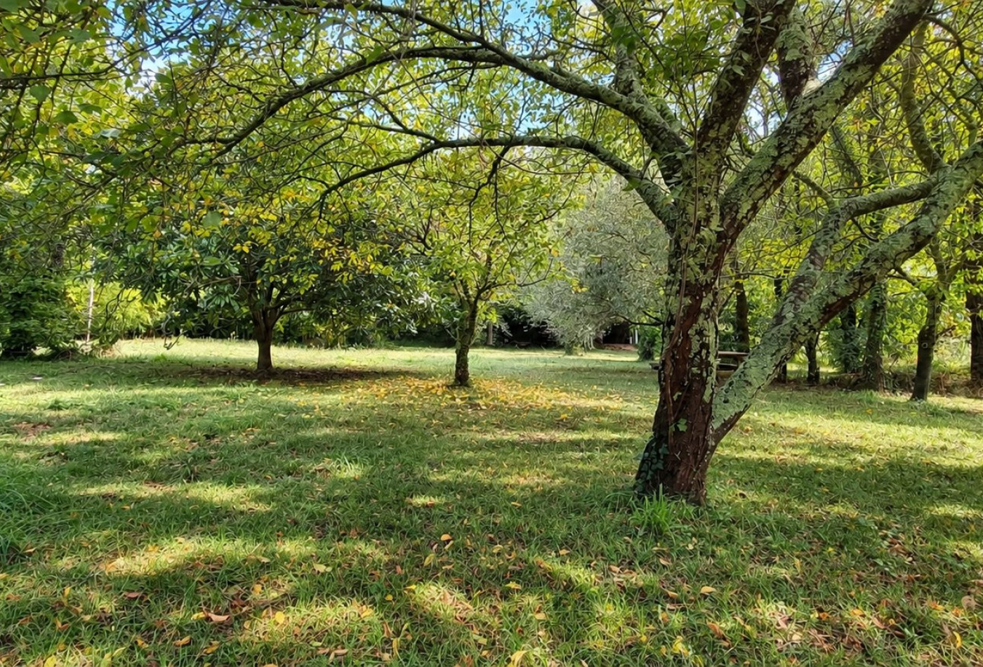 vente Maison Les Plans - Photo 7