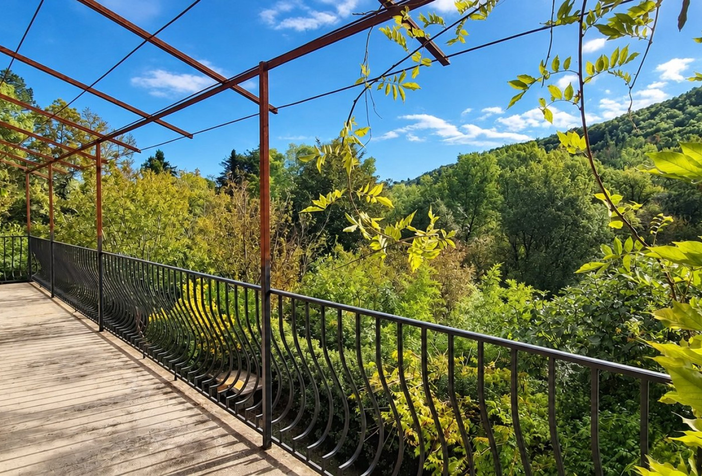 vente Maison Les Plans - Photo 2