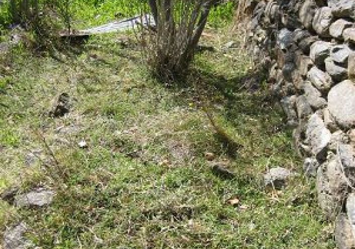 vente Maison Corsavy