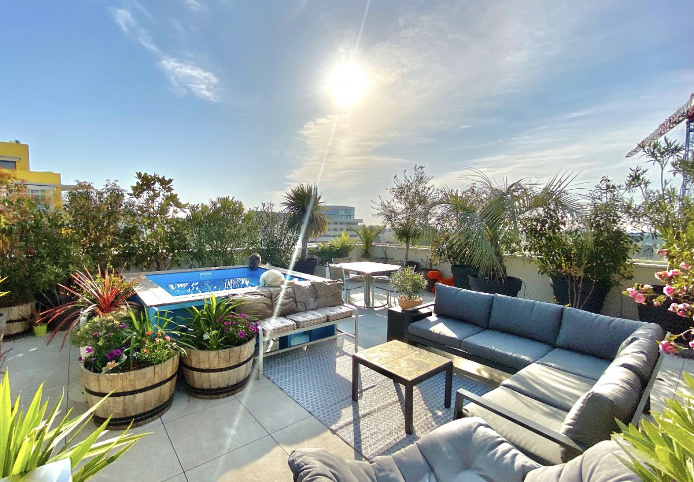vente Appartement terrasse Montpellier - Photo 1