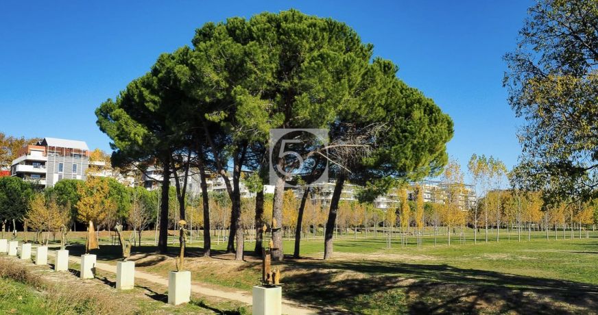 vente Appartement Montpellier