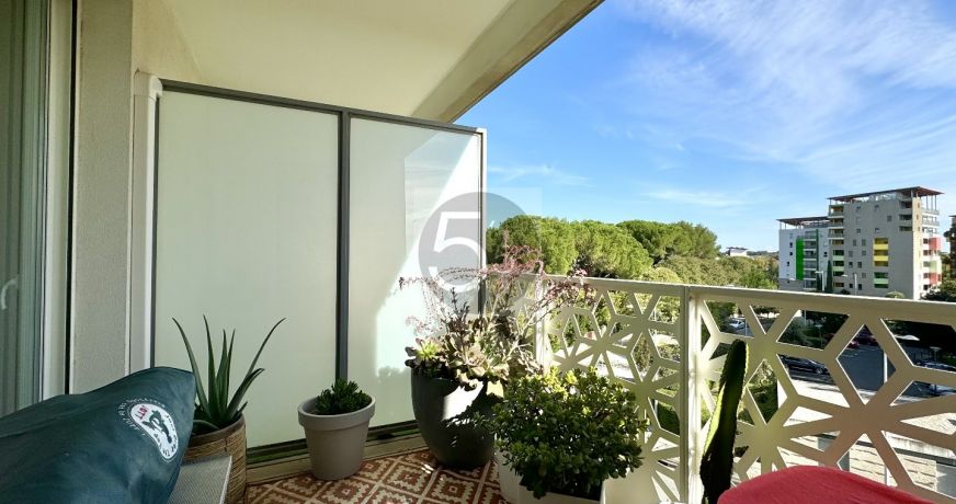 vente Appartement Montpellier