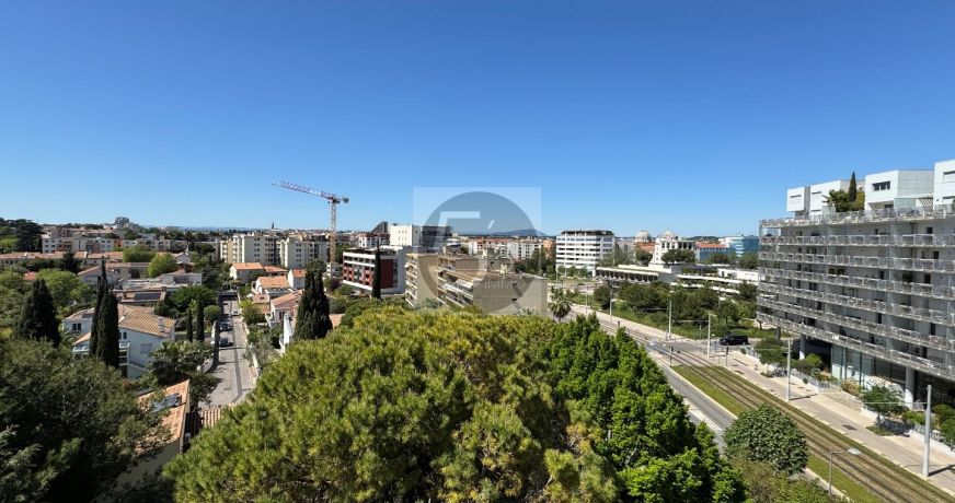 vente Appartement Montpellier