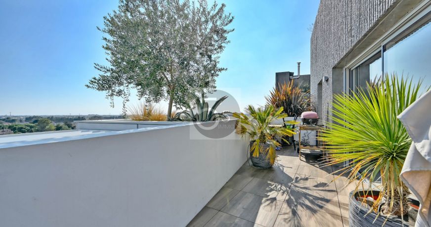 vente Appartement terrasse Montpellier