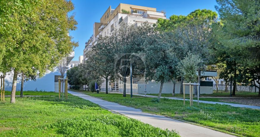 vente Appartement Montpellier