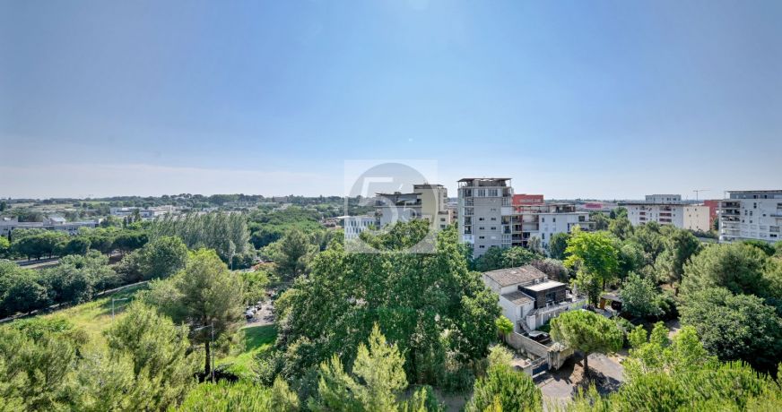 vente Appartement terrasse Montpellier