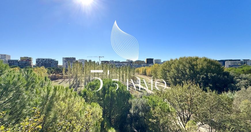 vente Appartement Montpellier