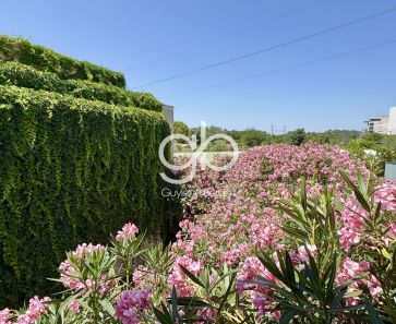 vente Castelnau Le Lez