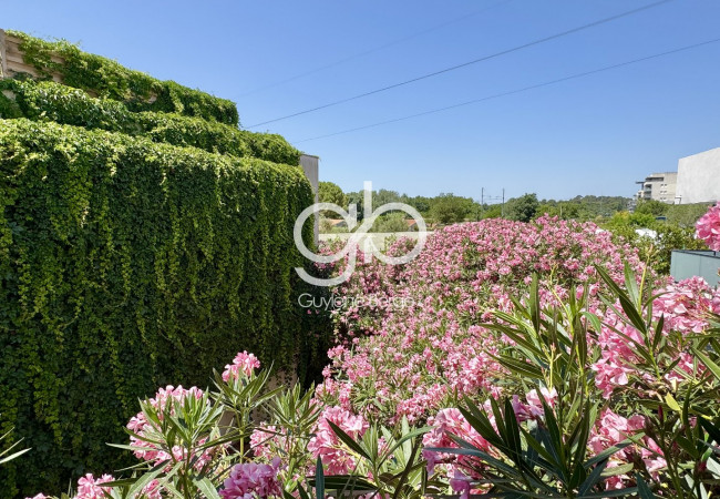 vente Appartement Castelnau Le Lez - Photo 1