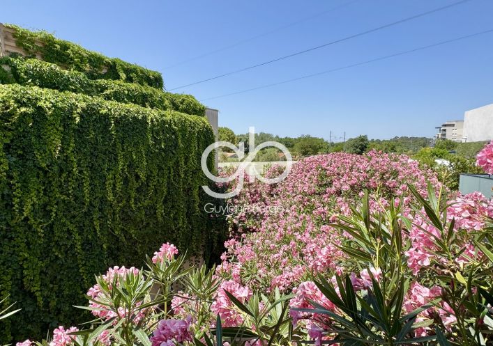 vente Appartement Castelnau Le Lez