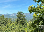 vente Maison Sainte-cÉcile-d'andorge