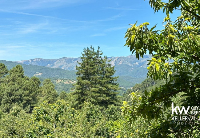vente Maison Sainte-cÉcile-d'andorge - Photo 2