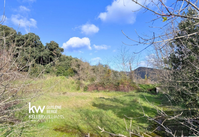 vente Immeuble Le Bousquet D Orb - Photo 14