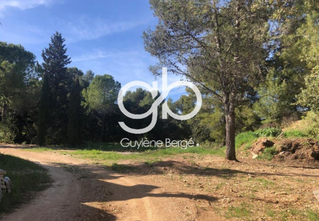 vente Maison Saint Paul Et Valmalle - Photo 14