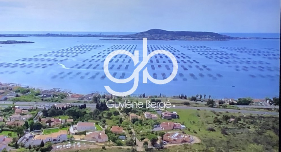 vente Villa d'architecte Bouzigues - Photo 7