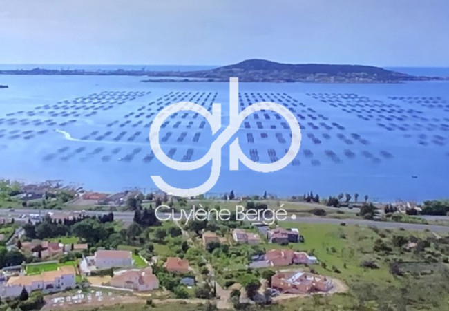 vente Villa d'architecte Bouzigues - Photo 7