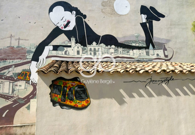 vente Maison Saint Jean De Vedas - Photo 6