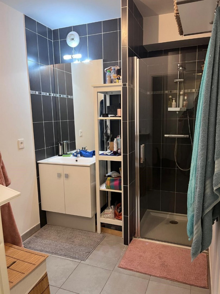 location Appartement Castelnau Le Lez - Photo 5