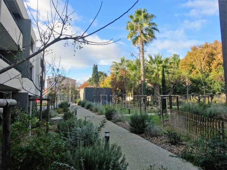 location Appartement Montpellier - Photo 3