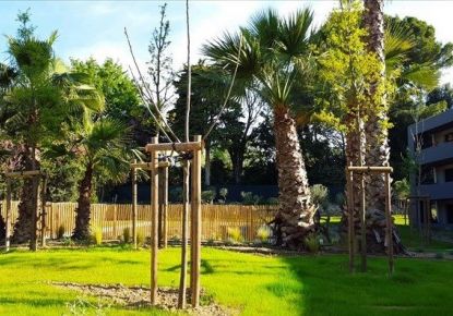 location Appartement Montpellier