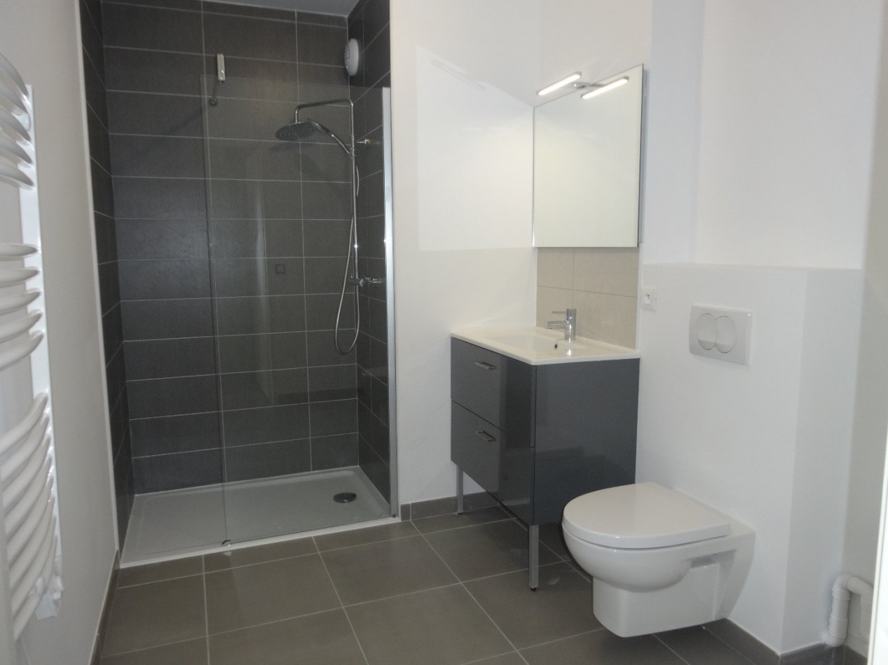 location Appartement Saint Jean De Vedas - Photo 9