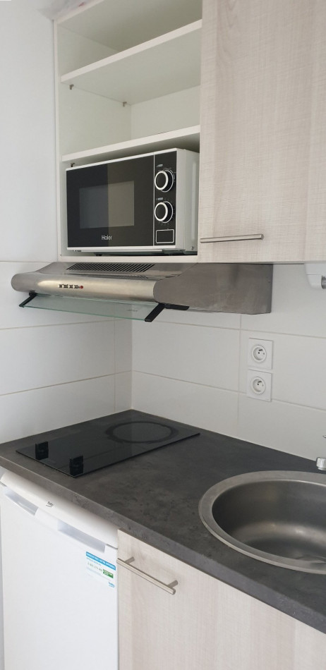 location Appartement Montpellier - Photo 4