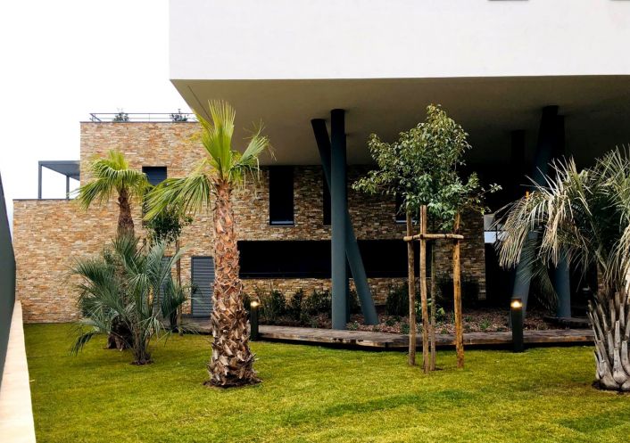 location Appartement Perols