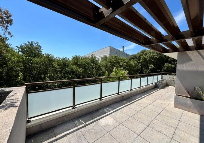location Appartement Castelnau Le Lez