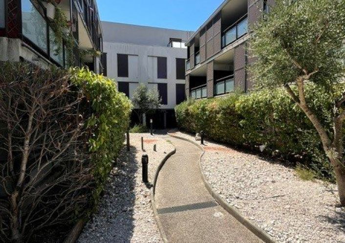 location Appartement Castelnau Le Lez