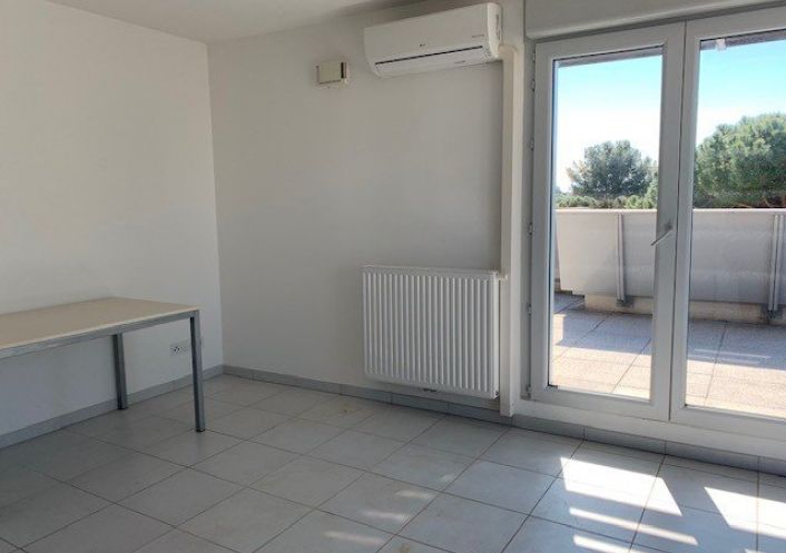 location Appartement Castelnau Le Lez
